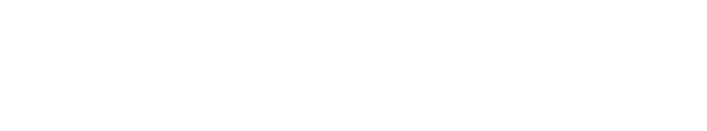 Witzeal Logo